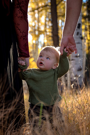 Simkins-Caylor Family
