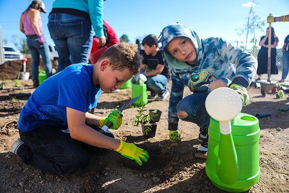 Mount Elden Students Plant a Pollinator Garden