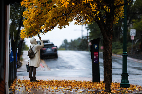 Weather and Leaves Change in Flagstaff