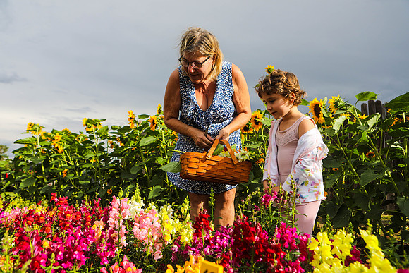 Doney Resident Offers Free DIY Bouquets