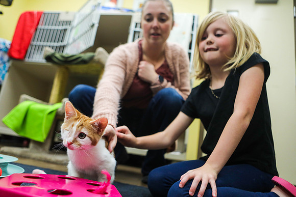 One-Eyed Foster Kitten Hopes For Permanent Home