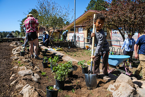 Planting a New School Garden