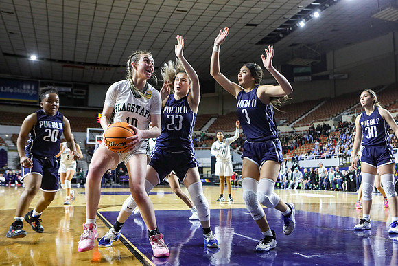 FHS Girls Basketball at State
