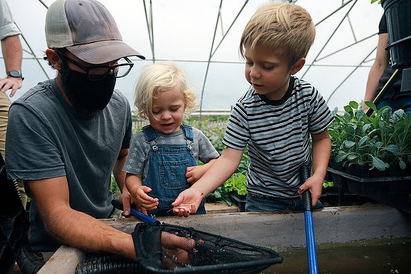 Forestdale Farm's Fish Experiment, Flagstaff